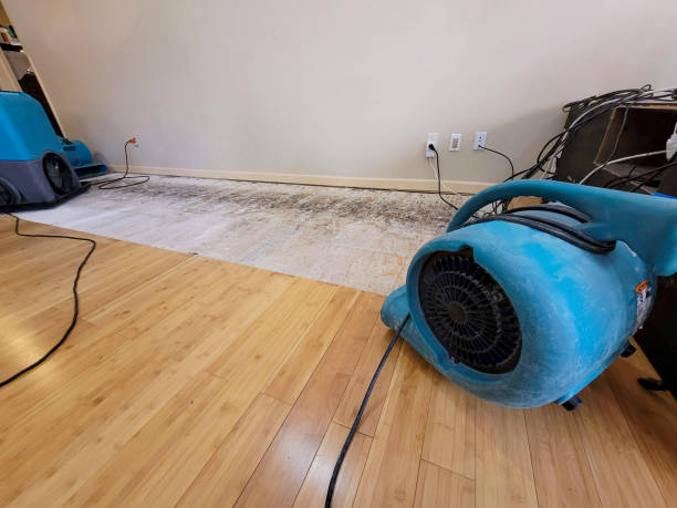 Professional Sewage Cleanup technician working in Salem, MA